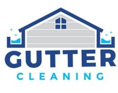 Local gutter cleaning